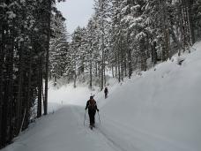 Klik za večjo sliko